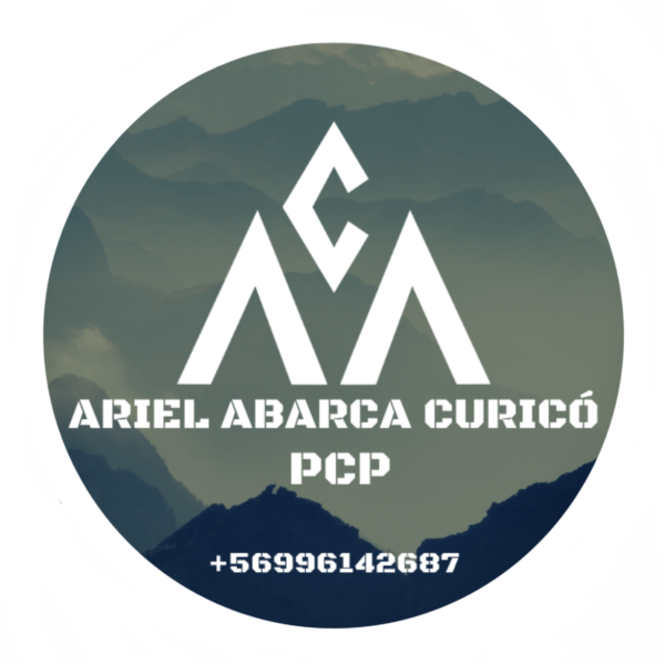 Sticker Ariel Abarca Curicó