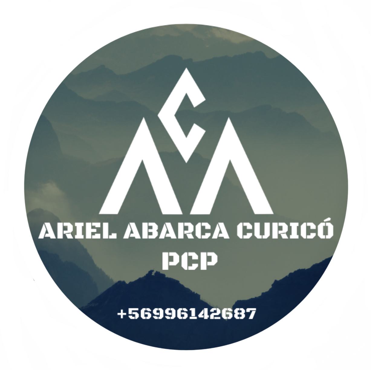 Ariel Abarca Curicó